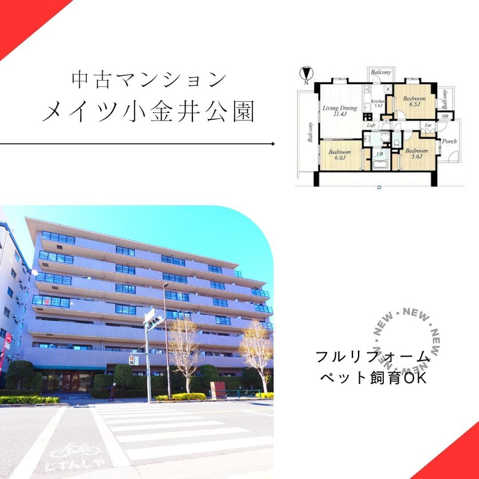 画像1097