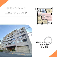 画像1228