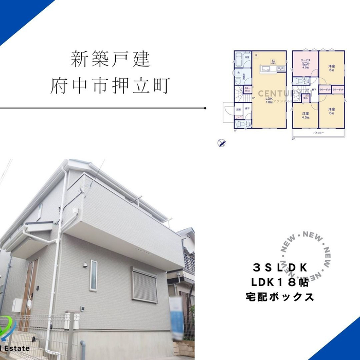 画像1283