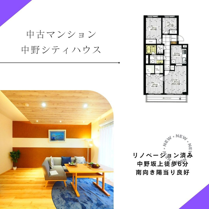 画像1294