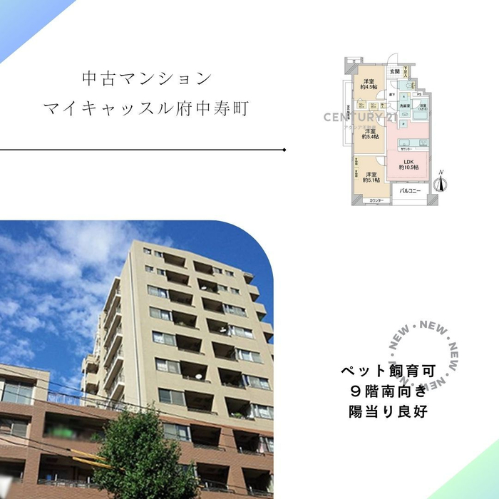 画像1574