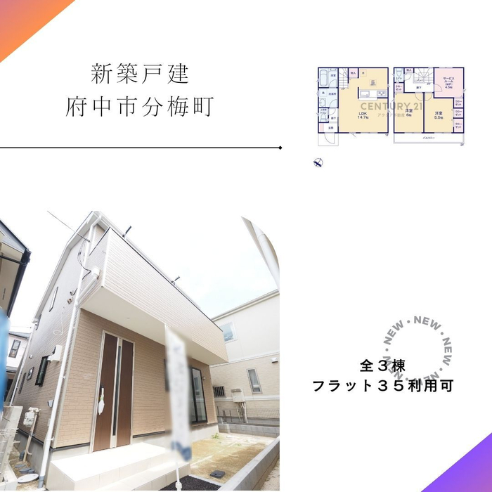 画像1725