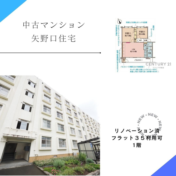 画像1736