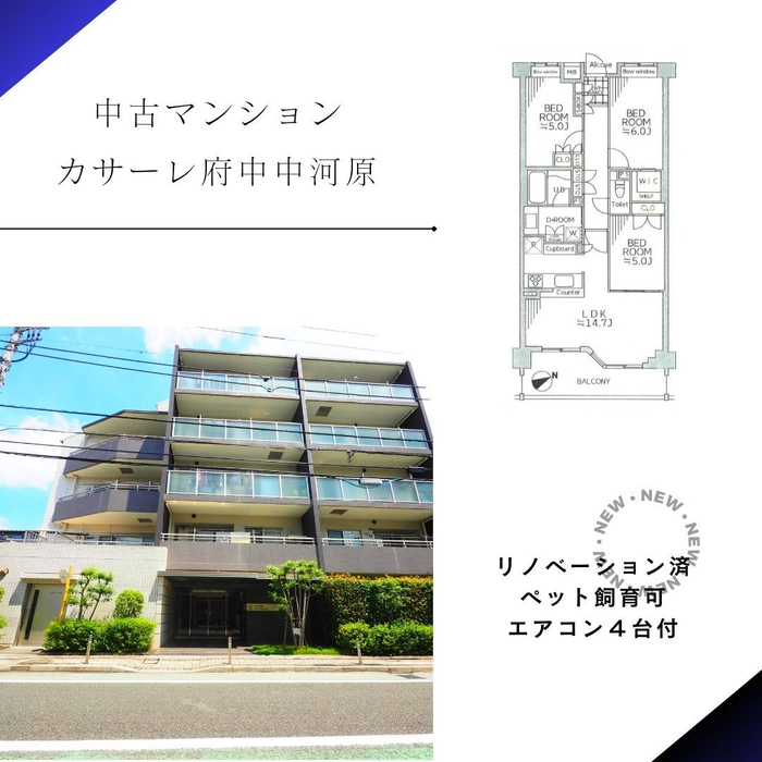 画像1824