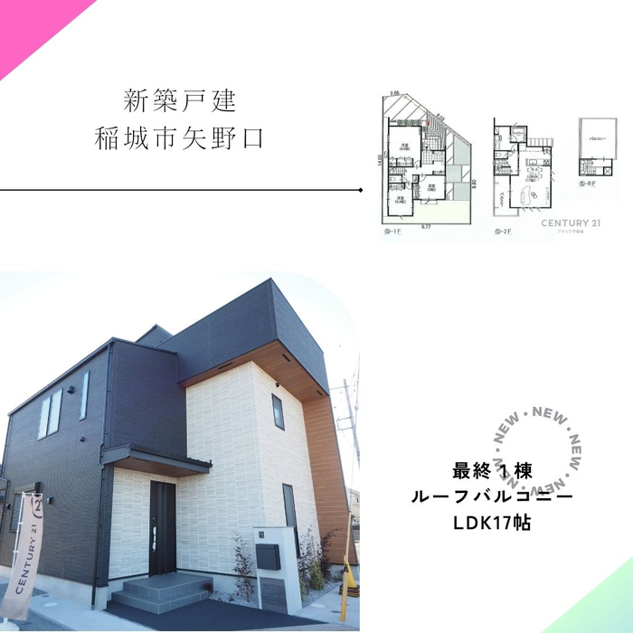 画像2297