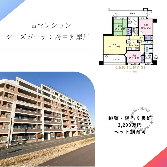 画像2314