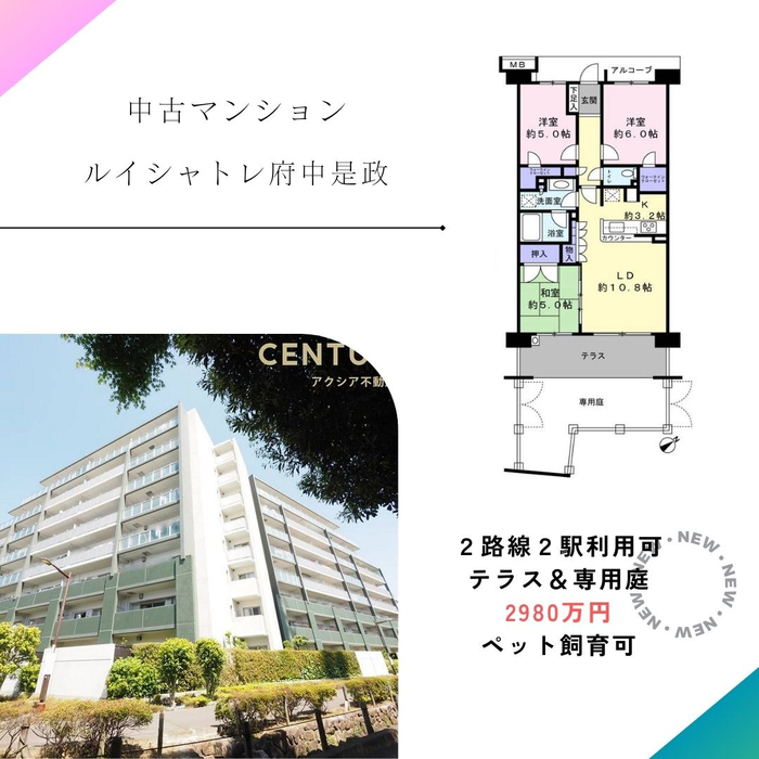 画像2391