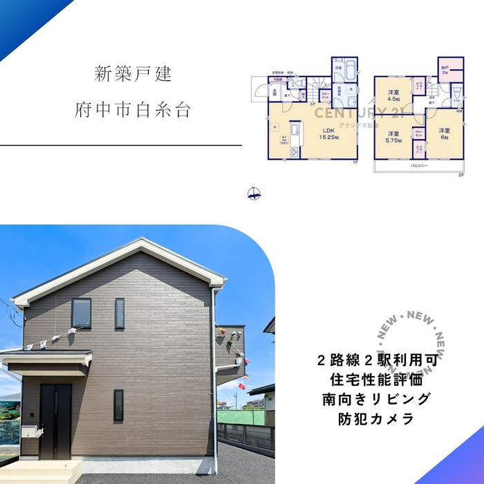 画像2484
