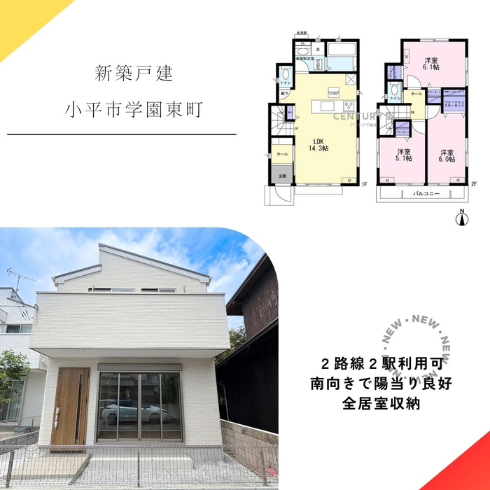 画像2539