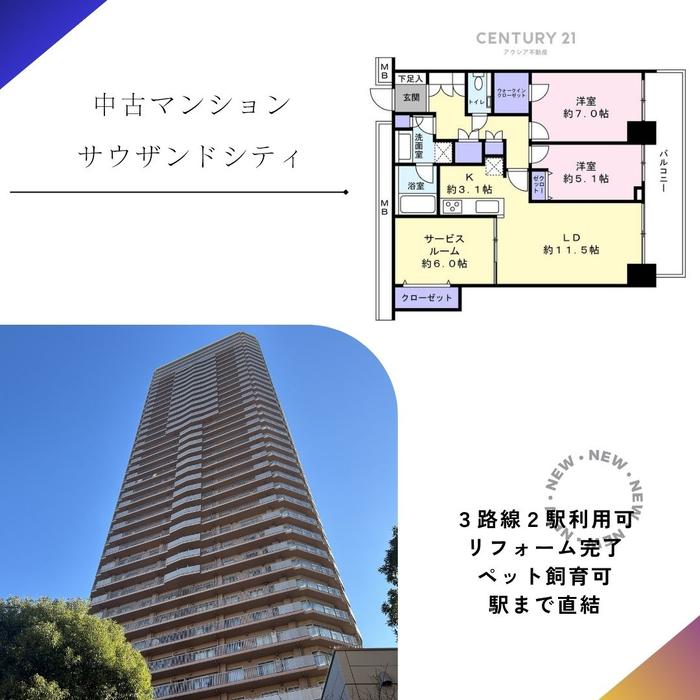 画像2550