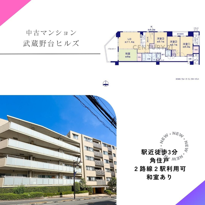 画像2561