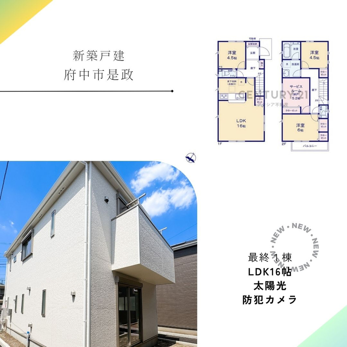 画像2572
