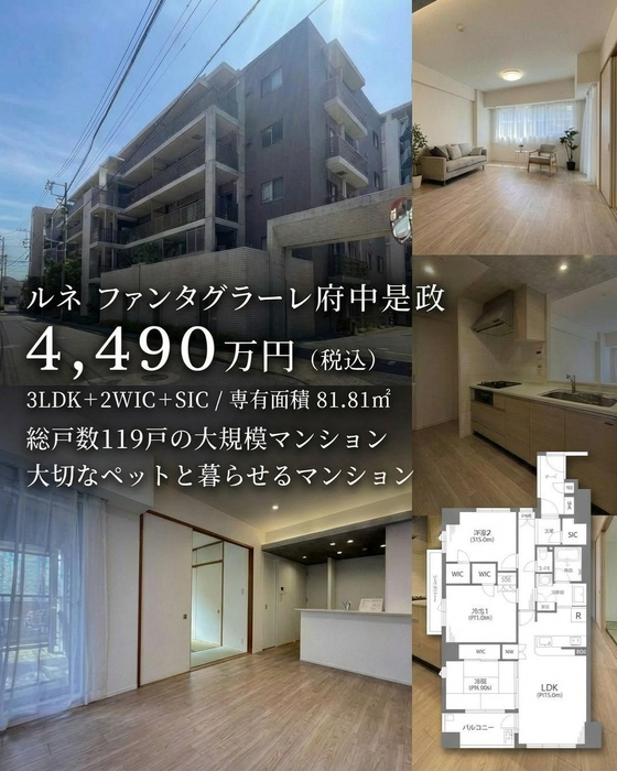 画像2717