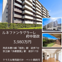 画像2866
