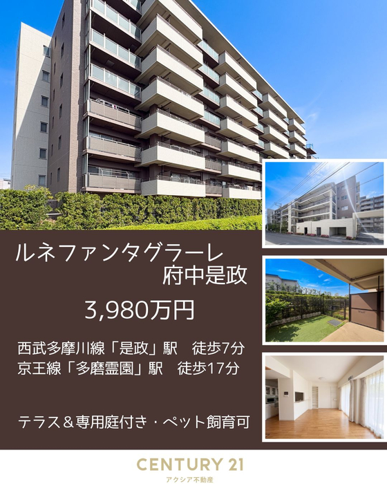 画像2866