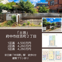 画像2877