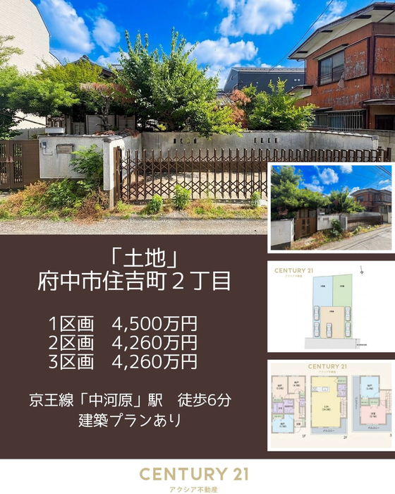 画像2877