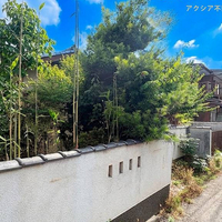 画像2878
