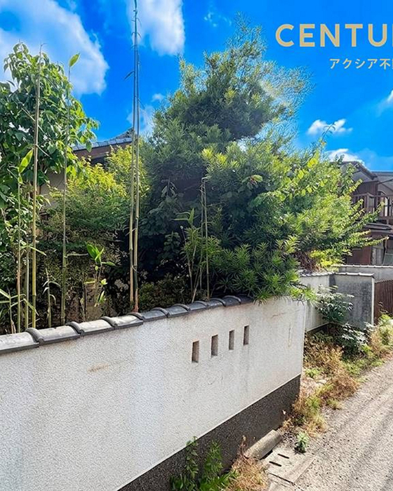 画像2878