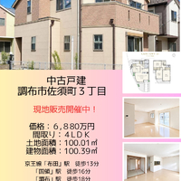 画像2904