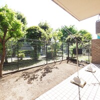 画像544