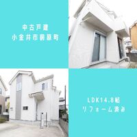 画像913